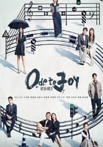 2024年國産大陸電視劇《歡樂頌5》全34集