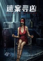 2024年國産懸疑片《迷案尋凶》HD國語中字