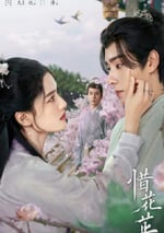 2024年國産大陸電視劇《惜花芷》全40集