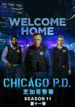 2024年美國電視劇《芝加哥警署 第十一季》全13集