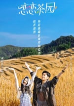 2024年國産大陸短劇《戀戀茶園》全24集