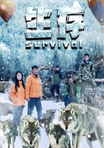 2024年國産動作片《生存》HD國語中字