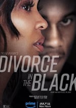 2024年美國劇情片《離婚怨曲》HD中英雙字