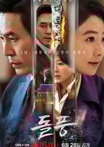 2024年韓國電視劇《政壇旋風》全12集