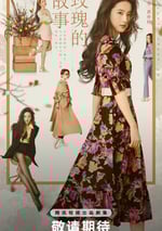 2024年國産大陸電視劇《玫瑰的故事》全38集