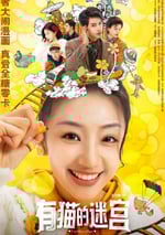 2024年國産大陸電視劇《有貓的迷宮》全24集