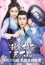 2024年國産大陸電視劇《我家娘子惹不起》全24集