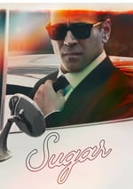 2024年美國電視劇《謎探休格》全08集