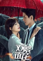 2024年國産大陸電視劇《雙面繁花》全24集