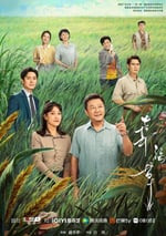 2024年國産大陸電視劇《幸福草》全24集