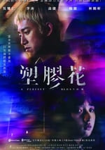 2024年中國台灣電視劇《塑膠花》全10集