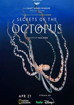 2024年澳大利亞紀錄片《章魚的秘密》全03集