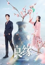 2024年國産大陸電視劇《良緣》連載至23