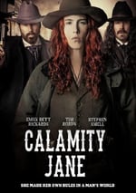 2024年加拿大動作片《女俠簡恩》HD中英雙字