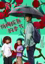 2024年國産劇情片《楊梅成熟的季節》HD中英雙字