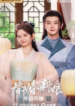 2024年國産大陸電視劇《替婚新娘》全28集