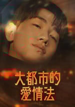 2024年韓國電視劇《大都市愛情法》全8集