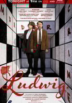 2024年英國電視劇《謎探路德維希 第一季》全6集