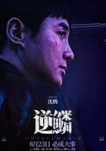 2024年國産犯罪片《逆鱗》HD國語中字