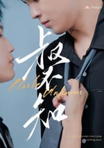 2024年中國台灣電視劇《叔不知》全12集