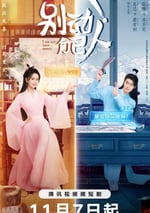 2024年國産大陸電視劇《別動自己人》全20集