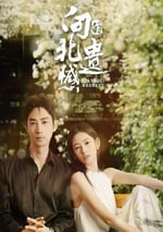 2024年國産大陸電視劇《向北的遺憾》連載至18