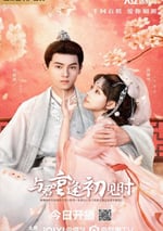2025年國産大陸電視劇《與君重逢初見時》全24集