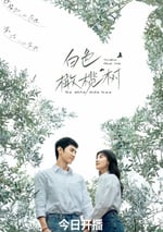 2025年國産大陸電視劇《白色橄榄樹》全38集