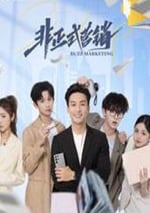 2025年國産大陸電視劇《非正式營銷》全24集