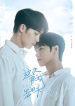 2025年國産大陸電視劇《這次換我先回頭》全6集