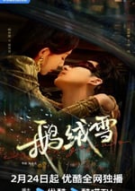 2025年國産大陸電視劇《鵝絨雪》全20集