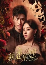 2025年國産大陸電視劇《熟悉的她》全24集