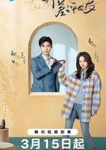 2025年國産大陸電視劇《我的差評女友》全20集