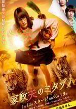 2025年日本電視劇《家政夫叁田園7》全9集