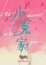 2025年國産大陸電視劇《我的媳婦不好惹》全22集