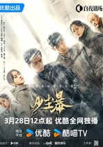 2025年國産大陸電視劇《沙塵暴》全12集