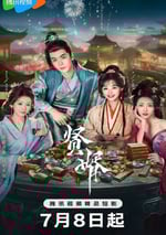 2025年國産大陸電視劇《賢婿》全26集