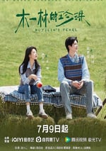 2025年國産大陸電視劇《木一林的珍珠》全24集
