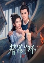 2025年國産大陸電視劇《替罪丫鬟》全24