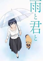 2025年日本動漫《雨天遇見狸》全12集