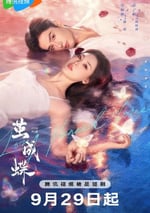 2025年國産大陸電視劇《繭成蝶》連載至16