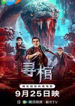 2025年國産動作冒險片《尋棺》HD國語中字