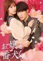 2025年日本喜劇愛情片《大小姐和看門犬》BD日語中字