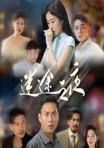 2025年國産大陸電視劇《迷途之夜》連載至14