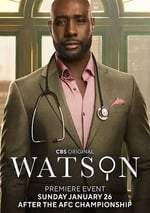 2025年美國電視劇《華生 第一季》全13集