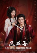 2025年國産大陸電視劇《夙夜集》全24集