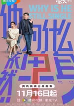 2025年國産大陸電視劇《他爲什麽依然單身》全16集
