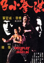 1975年中国香港经典动作片《洪拳小子》蓝光国语中字