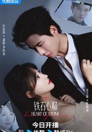 2025年国产大陆电视剧《铁石心肠》连载至08