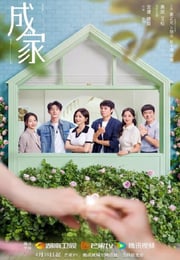 2025年国产大陆电视剧《成家》连载至29